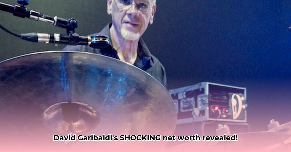 david-garibaldi-drummer-net-worth